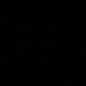 Meet your Posher, Magdalena